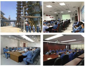 流程工業(yè)全周期能量?jī)?yōu)化技術(shù)服務(wù) 關(guān)鍵技術(shù)開發(fā)與應(yīng)用