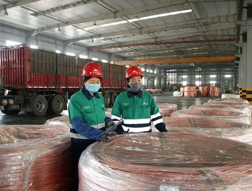 把最優質產品推向國際市場